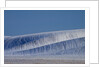 Patterns in snow covered wheat fields by Anonymous