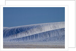 Patterns in snow covered wheat fields by Anonymous