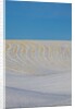 Patterns in snow covered wheat fields by Anonymous