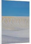 Patterns in snow covered wheat fields by Anonymous