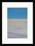 Patterns in snow covered wheat fields by Anonymous