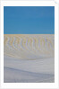 Patterns in snow covered wheat fields by Anonymous