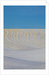 Patterns in snow covered wheat fields by Anonymous