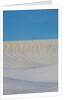 Patterns in snow covered wheat fields by Anonymous