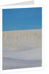 Patterns in snow covered wheat fields by Anonymous