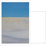 Patterns in snow covered wheat fields by Anonymous
