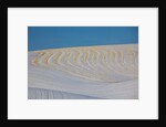 Patterns in snow covered wheat fields by Anonymous