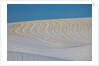 Patterns in snow covered wheat fields by Anonymous