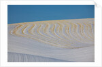 Patterns in snow covered wheat fields by Anonymous