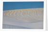 Patterns in snow covered wheat fields by Anonymous