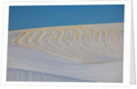 Patterns in snow covered wheat fields by Anonymous