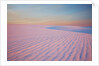 Sunset and patterns in snow covered wheat fields by Anonymous