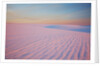 Sunset and patterns in snow covered wheat fields by Anonymous