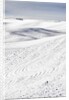 Patterns in snow covered wheat fields by Anonymous