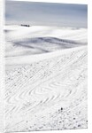Patterns in snow covered wheat fields by Anonymous