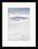 Patterns in snow covered wheat fields by Anonymous