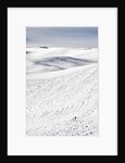 Patterns in snow covered wheat fields by Anonymous