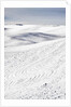 Patterns in snow covered wheat fields by Anonymous