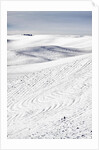 Patterns in snow covered wheat fields by Anonymous