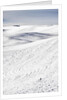 Patterns in snow covered wheat fields by Anonymous