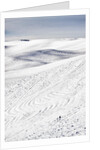 Patterns in snow covered wheat fields by Anonymous