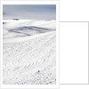 Patterns in snow covered wheat fields by Anonymous
