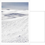 Patterns in snow covered wheat fields by Anonymous