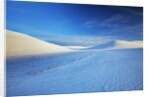 Patterns in snow covered wheat fields by Anonymous