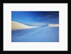 Patterns in snow covered wheat fields by Anonymous