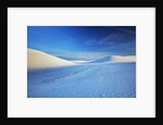 Patterns in snow covered wheat fields by Anonymous