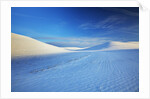 Patterns in snow covered wheat fields by Anonymous