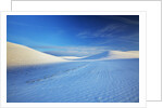 Patterns in snow covered wheat fields by Anonymous