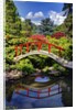 Kabota Gardens in Seattle by Anonymous