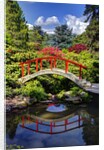 Kabota Gardens in Seattle by Anonymous