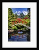 Kabota Gardens in Seattle by Anonymous