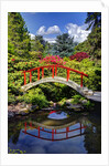 Kabota Gardens in Seattle by Anonymous
