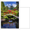 Kabota Gardens in Seattle by Anonymous