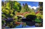 Kabota Gardens in Seattle by Anonymous