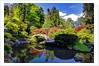 Kabota Gardens in Seattle by Anonymous