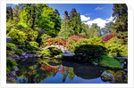 Kabota Gardens in Seattle by Anonymous