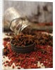 Star anise and red pepper corns around a rustic mason jar by Anonymous