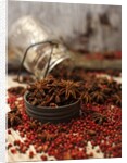 Star anise and red pepper corns around a rustic mason jar by Anonymous