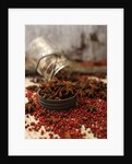 Star anise and red pepper corns around a rustic mason jar by Anonymous