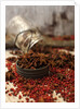 Star anise and red pepper corns around a rustic mason jar by Anonymous