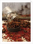 Star anise and red pepper corns around a rustic mason jar by Anonymous