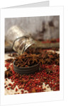 Star anise and red pepper corns around a rustic mason jar by Anonymous