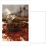 Star anise and red pepper corns around a rustic mason jar by Anonymous