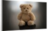 Studio shot of teddy bear by Anonymous