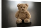 Studio shot of teddy bear by Anonymous