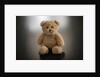 Studio shot of teddy bear by Anonymous